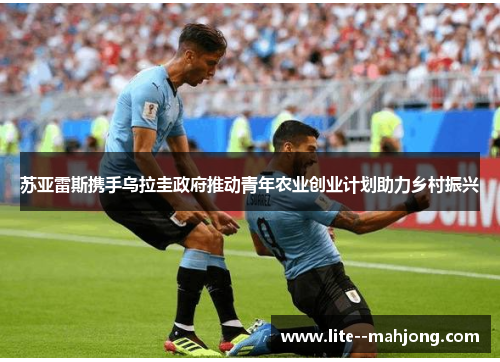 苏亚雷斯携手乌拉圭政府推动青年农业创业计划助力乡村振兴 苏亚雷斯携手乌拉圭政府推动青年农业创业计划助力乡村振兴
